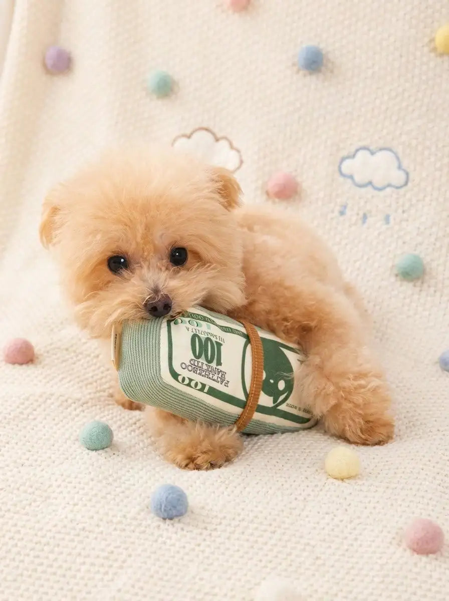 Plush Green Money Stack for Small to Med Dogs