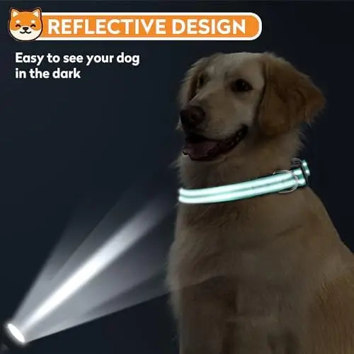 Reflective Dog Collar for Medium Dogs