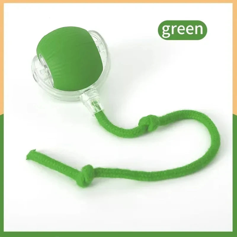 Self-satisfying Cat Toy