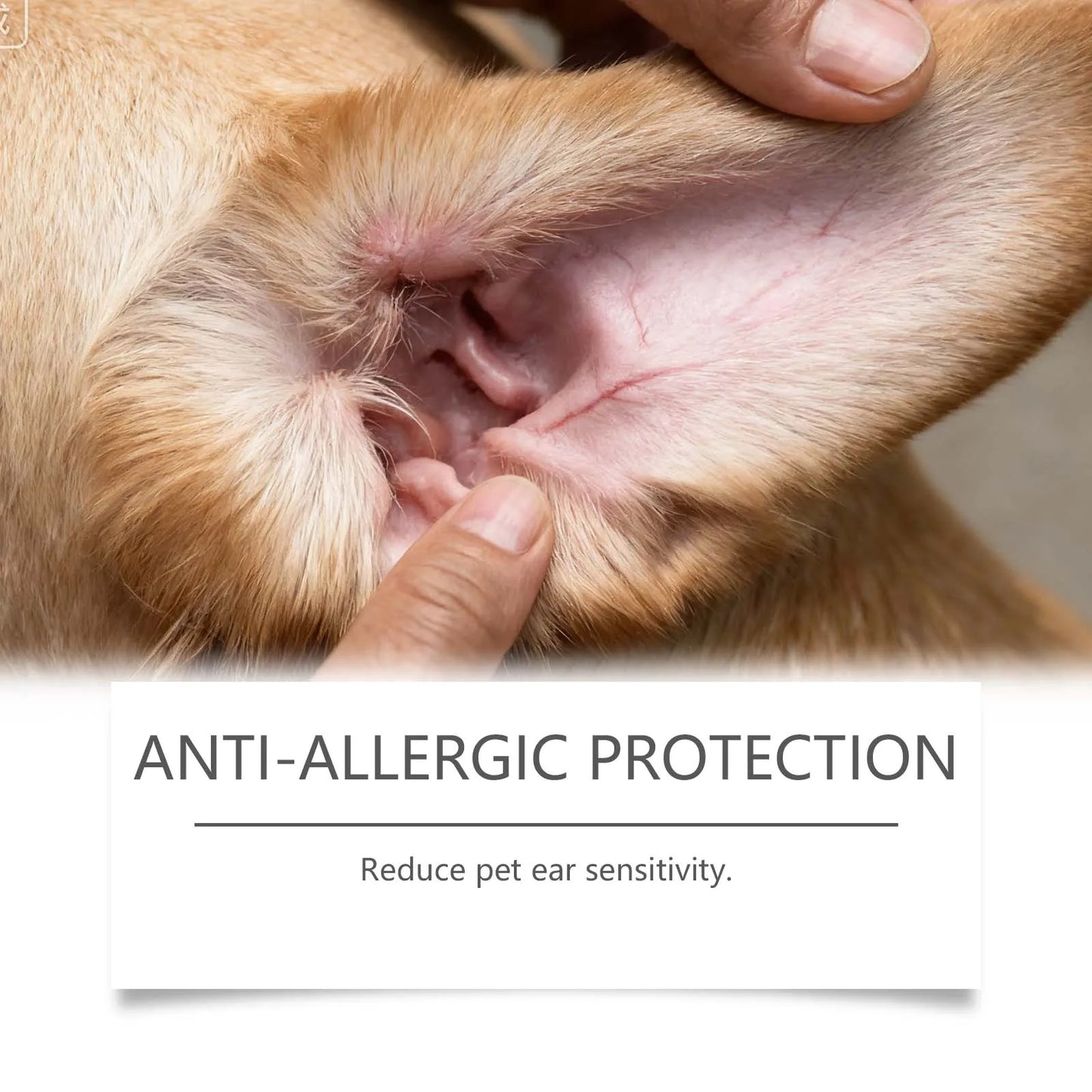 Ear Drops For Dogs