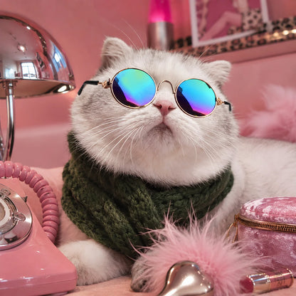 Lightweight Retro Round Pet Sunglasses