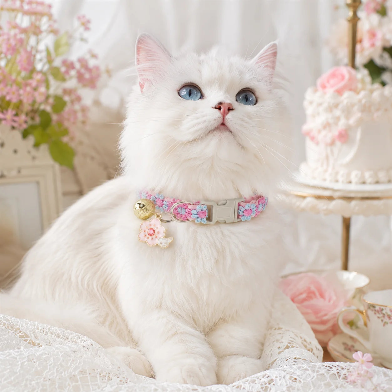 Soft Lace Adjustable Flower Collar with Bell