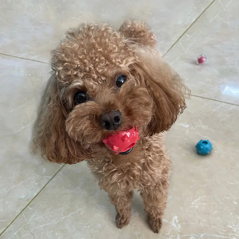 Mini Soft Floatable Squeaking Ball