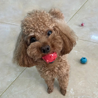 Mini Soft Floatable Squeaking Ball