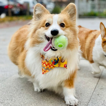 Amazing Squeaker Ball, Durable Floatable