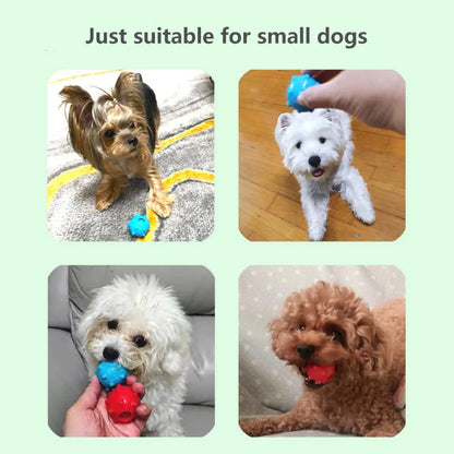 Mini Soft Floatable Squeaking Ball