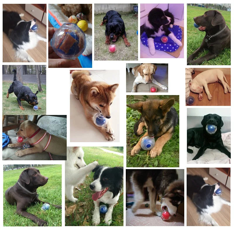 Amazing Squeaker Ball, Durable Floatable
