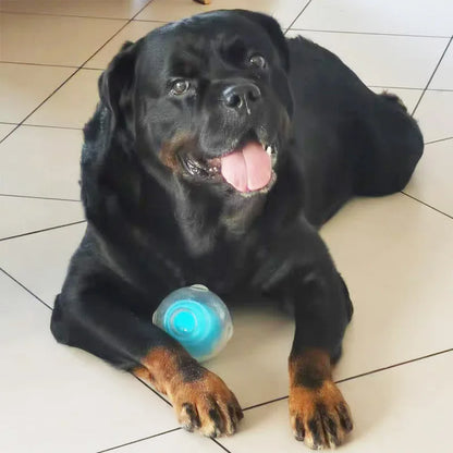 Amazing Squeaker Ball, Durable Floatable