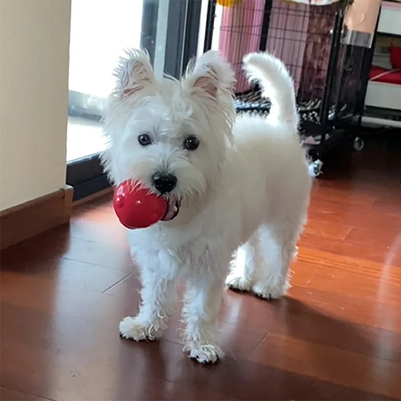 Amazing Squeaker Ball, Durable Floatable