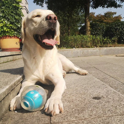 Amazing Squeaker Ball, Durable Floatable