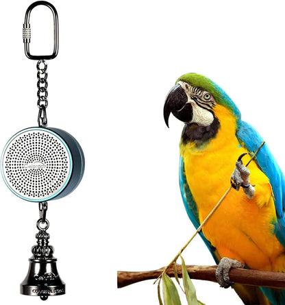 Parrot Teaching, Training Toys