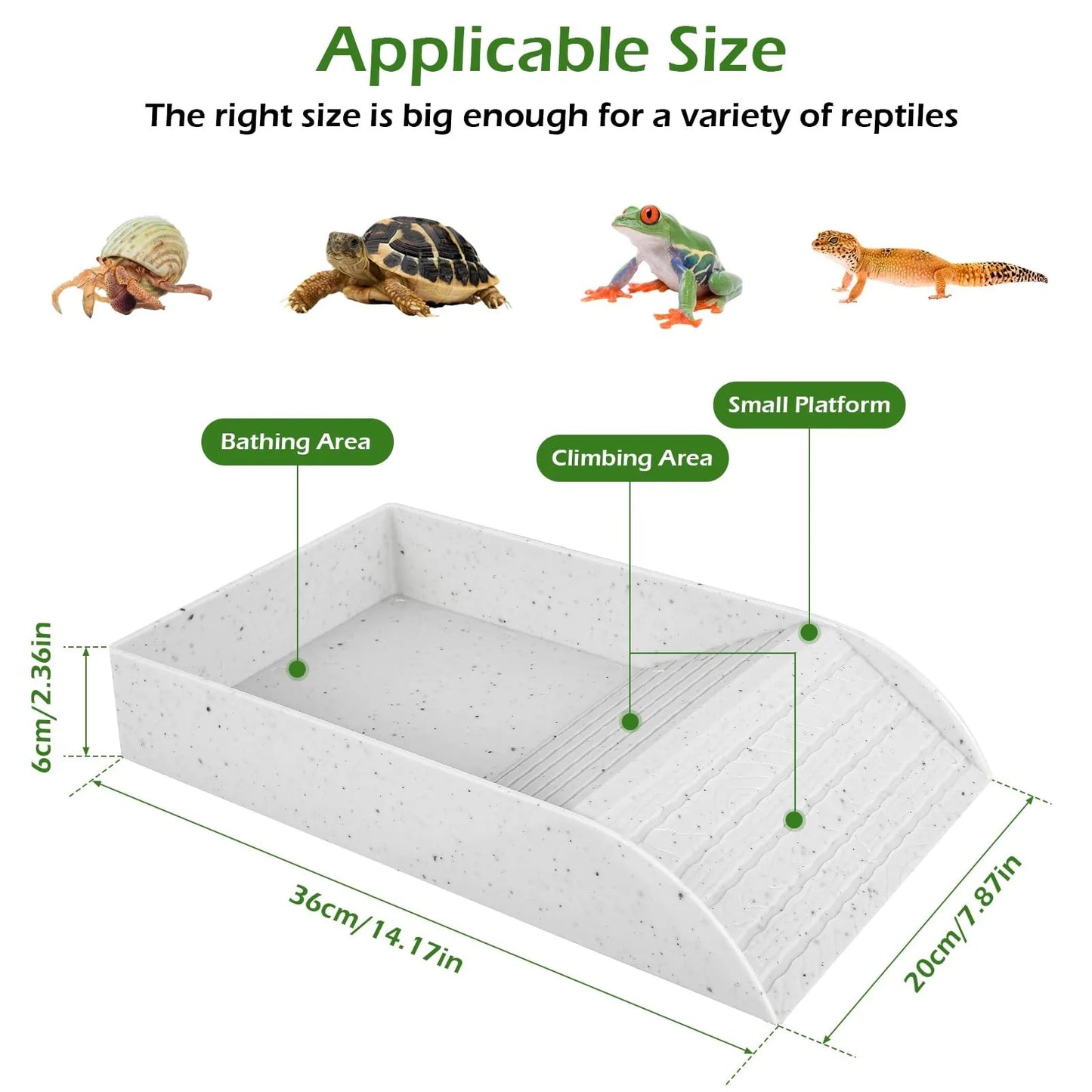 Anti Slip Tortoise Bath/Pool