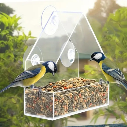 Transparent Bird Feeder for Window