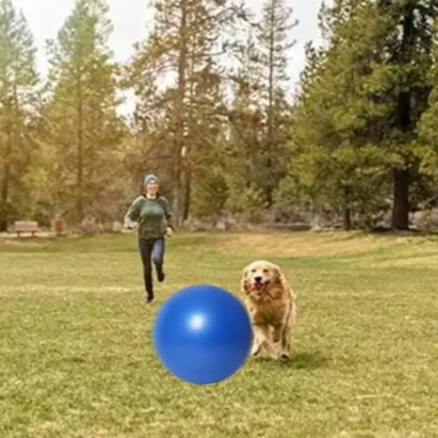 25" Heavy Duty Blue Herding Ball