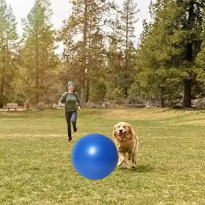 25" Heavy Duty Blue Herding Ball