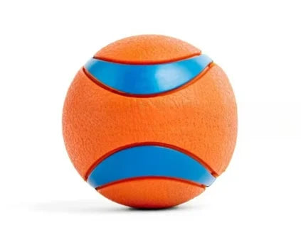 Tough Fetch Ball Toy
