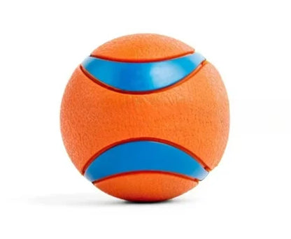 Tough Fetch Ball Toy
