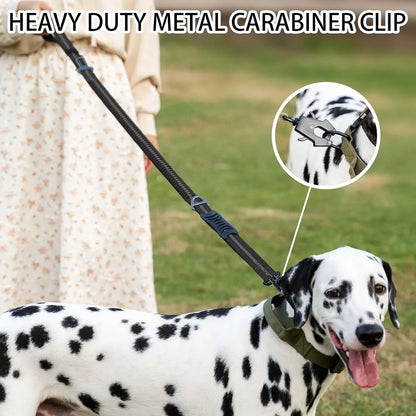 Reflective Shock Absorbing Leashes