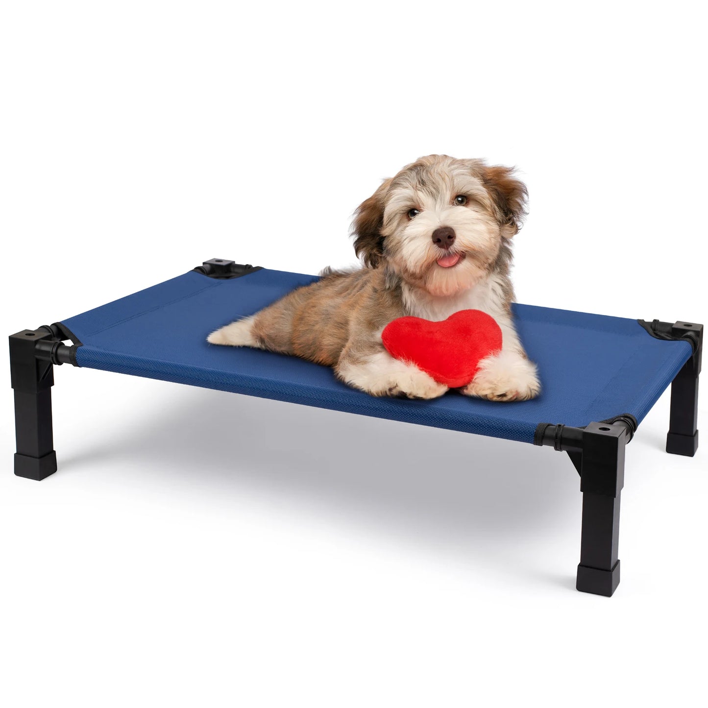 Cooling, Raised, Elevated Dog Bed