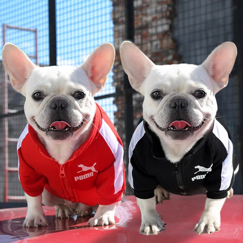 Dog Sweatshirts Customizable Design for Autumn/Winter,