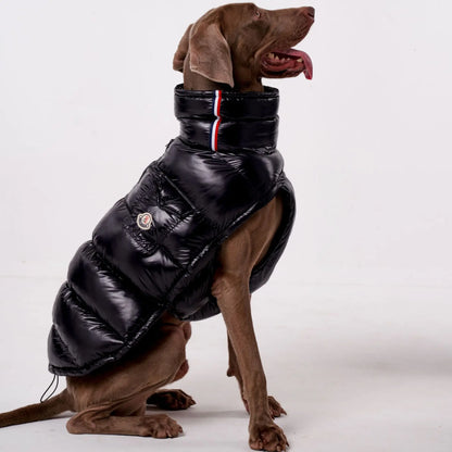 Warm, Windproof. Thick Down Coat