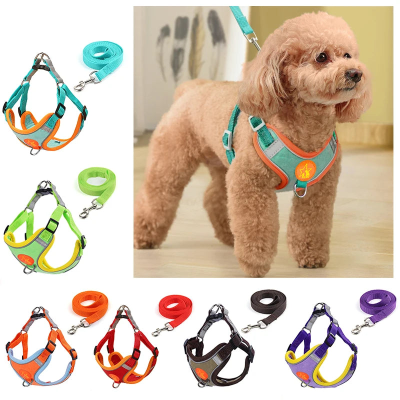 Sm/Med Reflective Vest & Leash for Walking