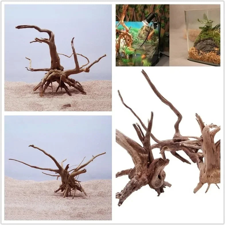 Natural Driftwood Tree Trunk