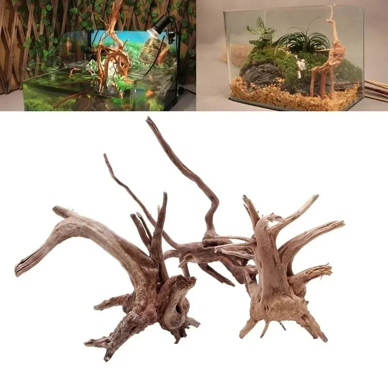 Natural Driftwood Tree Trunk