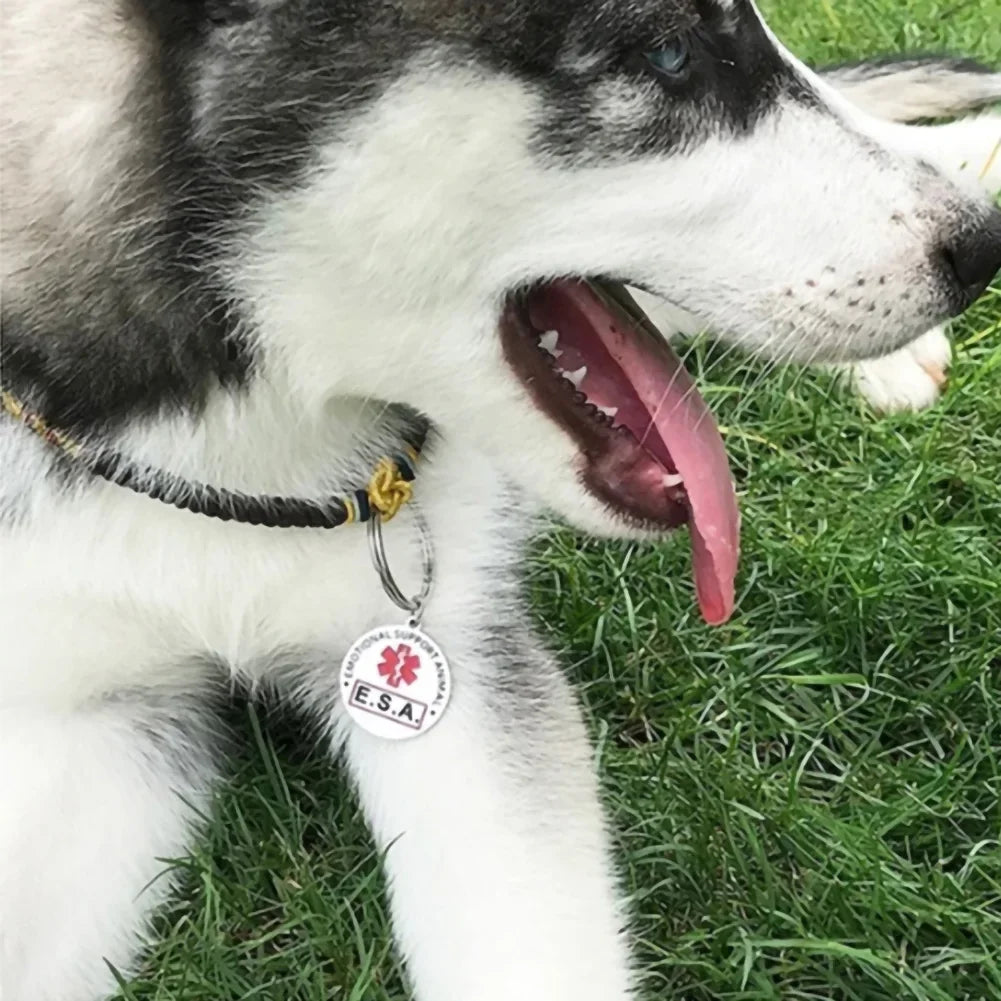 Dog ID Stainless Steel Tag, Emotional Support