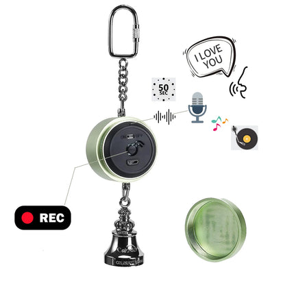 Parrot Teaching, Training Toys