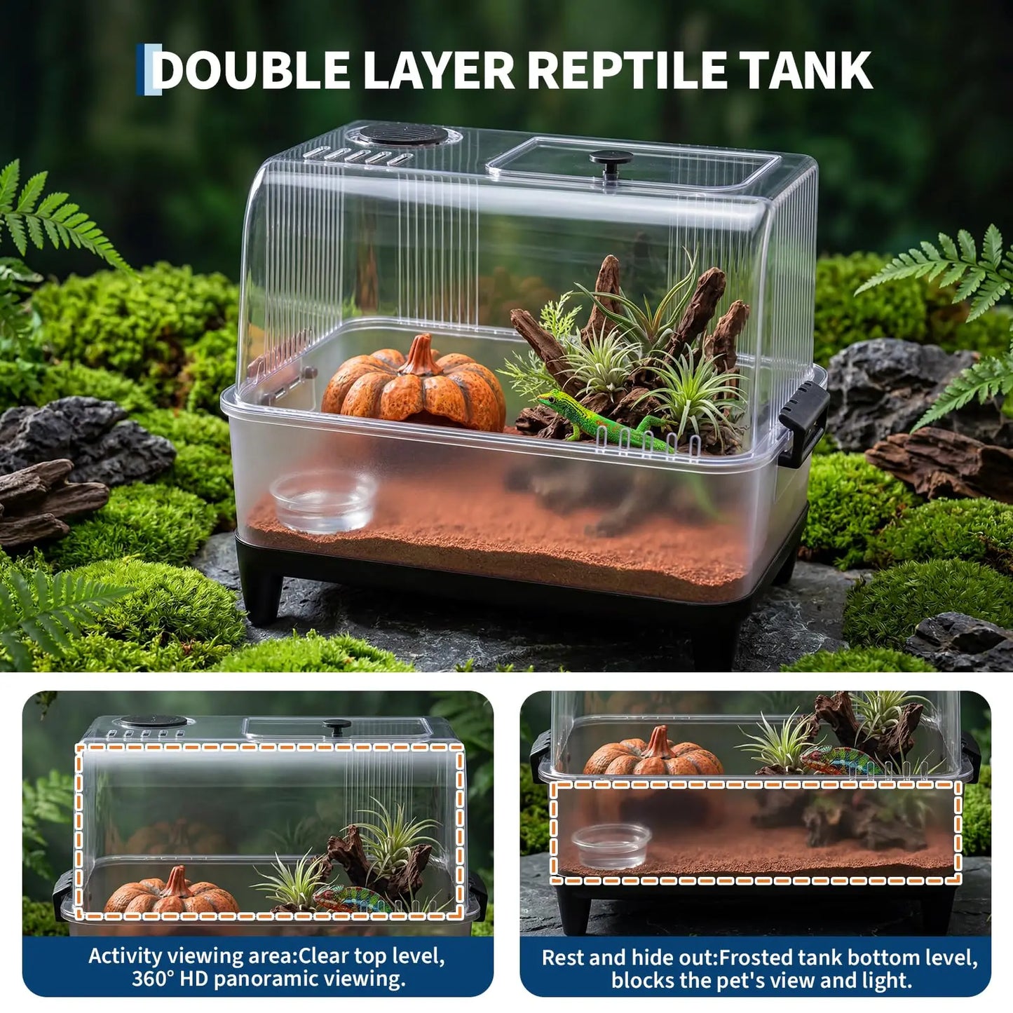 Reptiles Terrarium Kit w/Lid