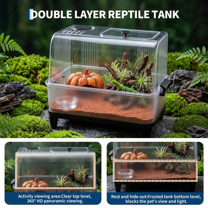 Reptiles Terrarium Kit w/Lid