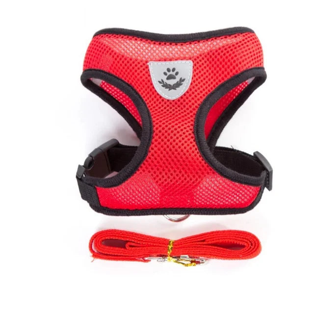 Adjustable Vest Harness with Leash
