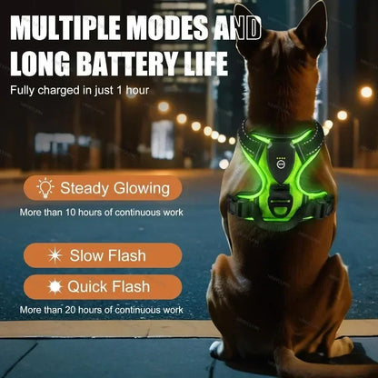 Rechargeable luminous Dog Harness