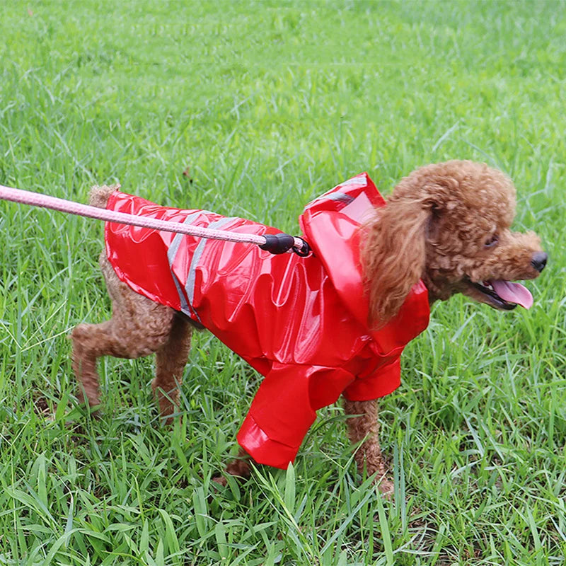 Summer Outdoor Puppy Rain Coat