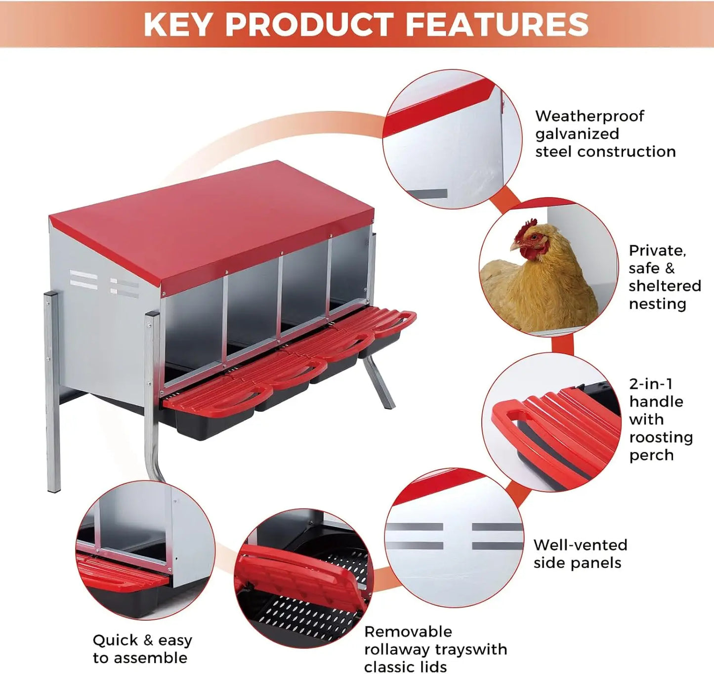 Multi-Compartment Metal Chicken Nesting Box