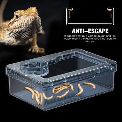 Feeding and water bowls for reptiles