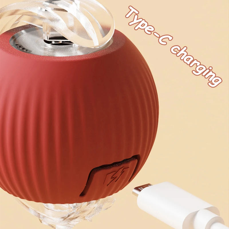2Pcs Cat Interactive Ball