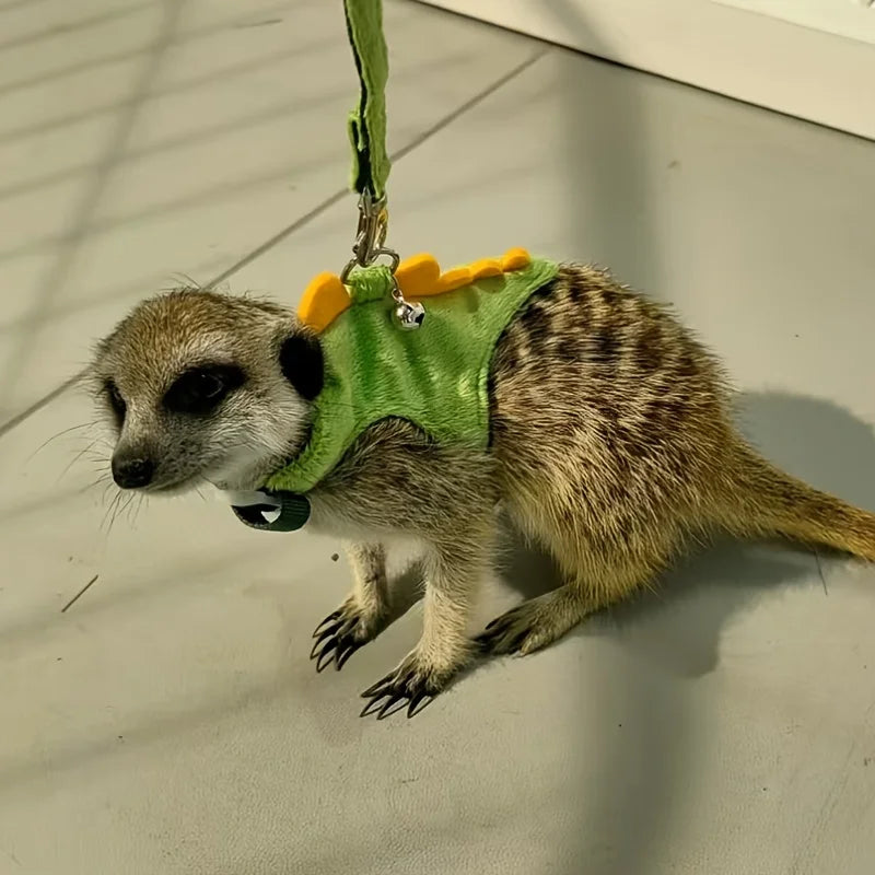 Adjustable Ferret Vest, Lead Rope