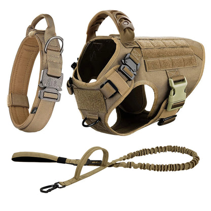 Large Dog Harness & Leash Set