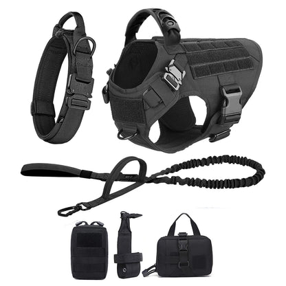 Large Dog Harness & Leash Set