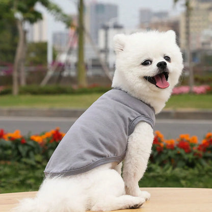 Solid Cotton T-shirt for Sm/Med Dogs