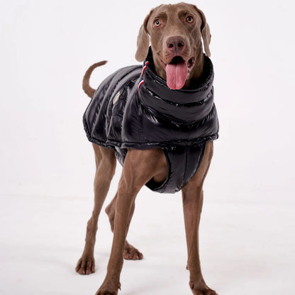 Warm, Windproof. Thick Down Coat