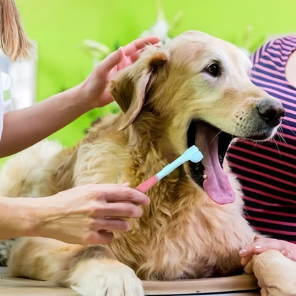 3-Sided Plastic Pet Toothbrush
