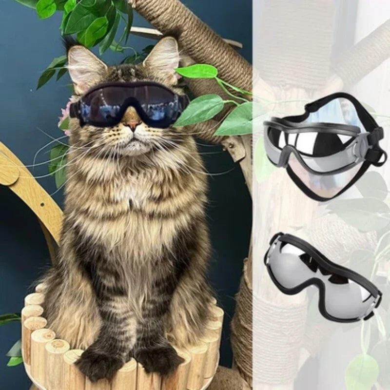 Small Breed UV Sunglasses, Adjustable Strap