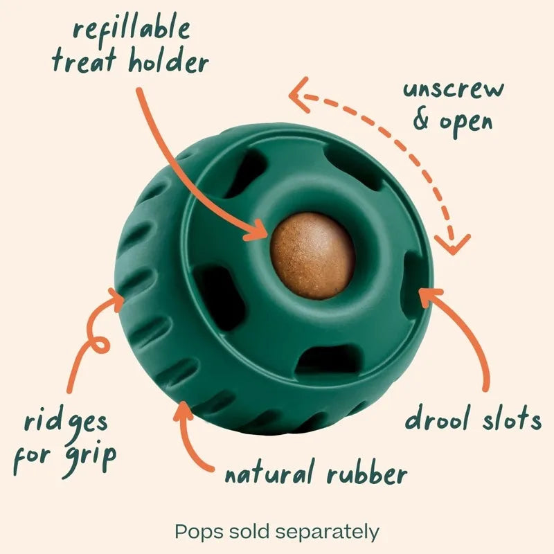 Bite Resistant Interactive Chew Toys