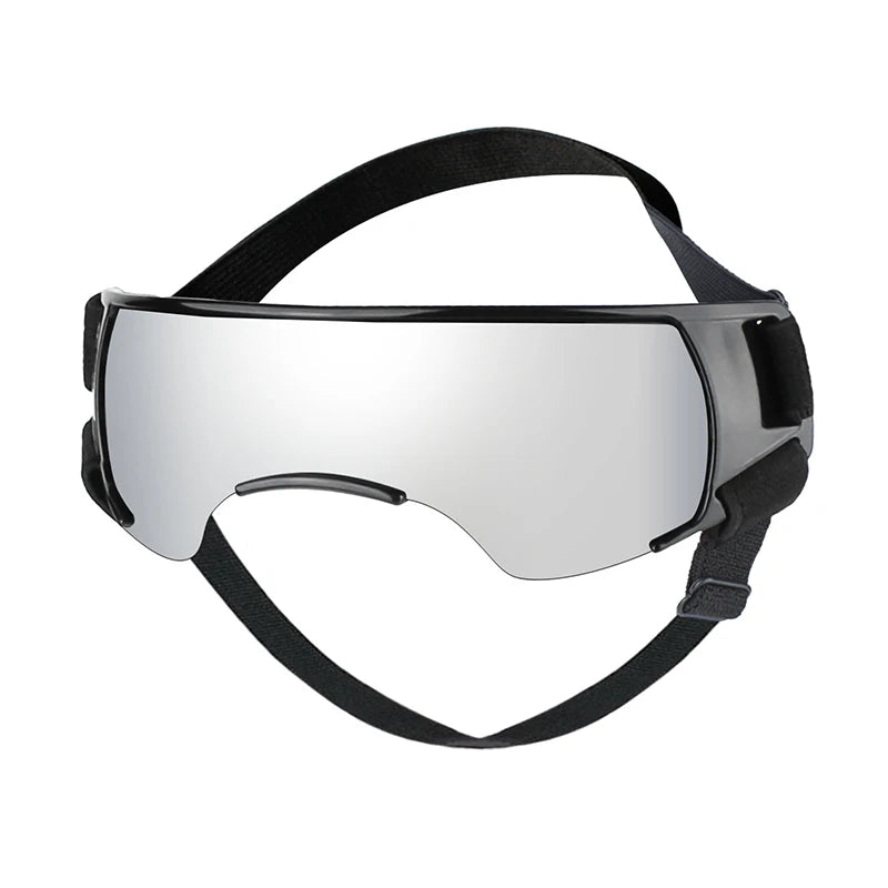 Small Breed Dog Sunglasses/Goggles