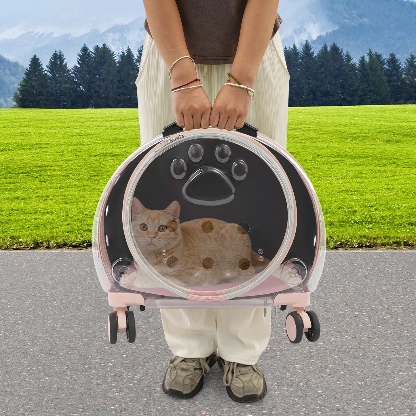 Light Pink Transparent Pet Travel Carrier