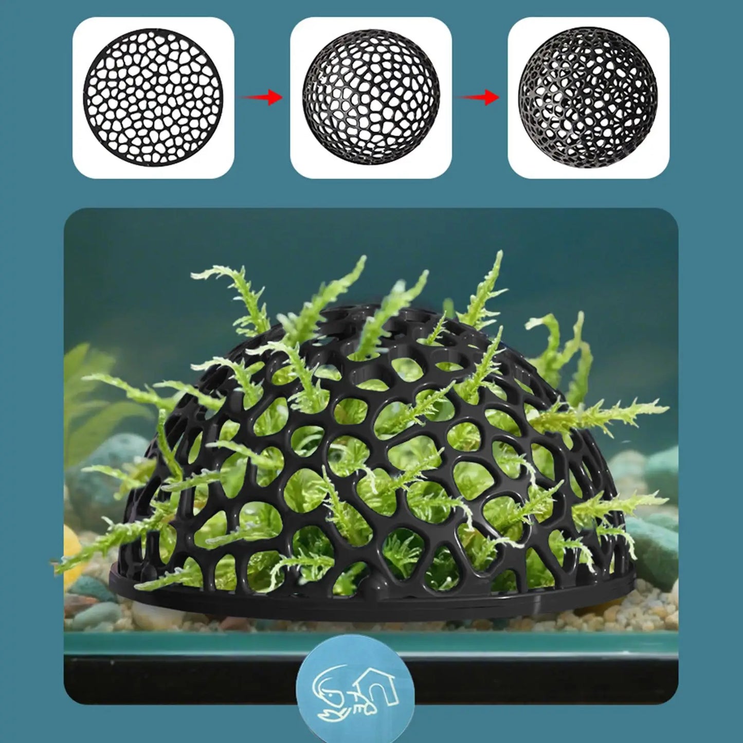 Shrimp Breeding Cave