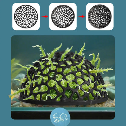 Shrimp Breeding Cave